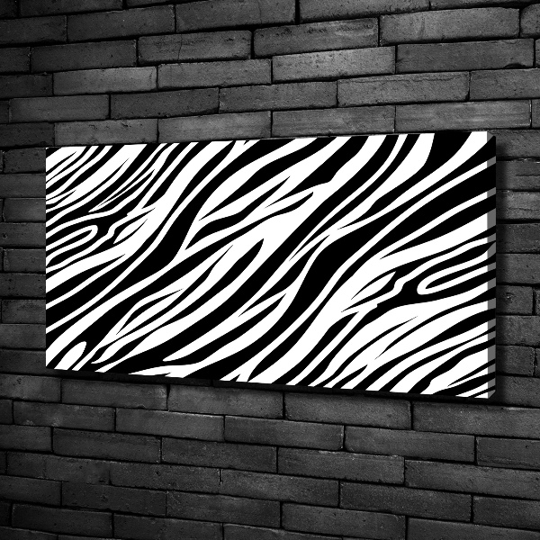 Foto obraz canvas Zebra pozadia