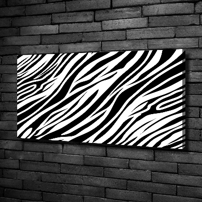 Foto obraz canvas Zebra pozadia