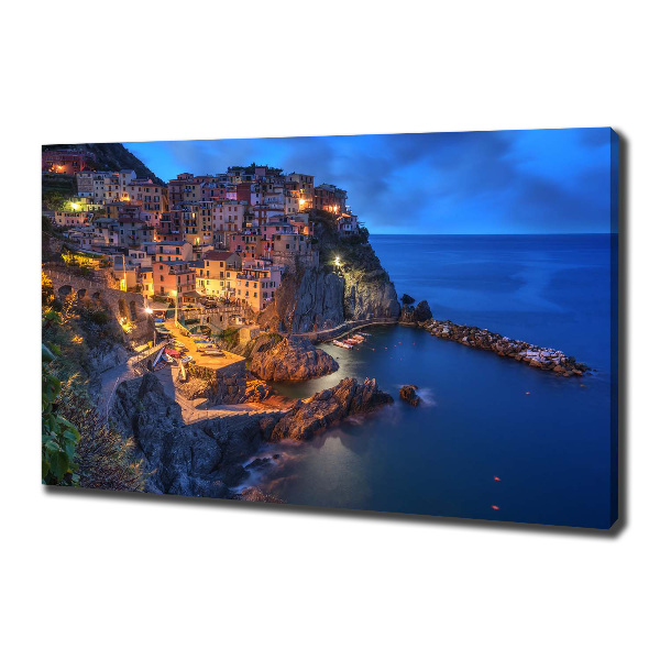 Foto obraz na plátne Manarola Taliansko