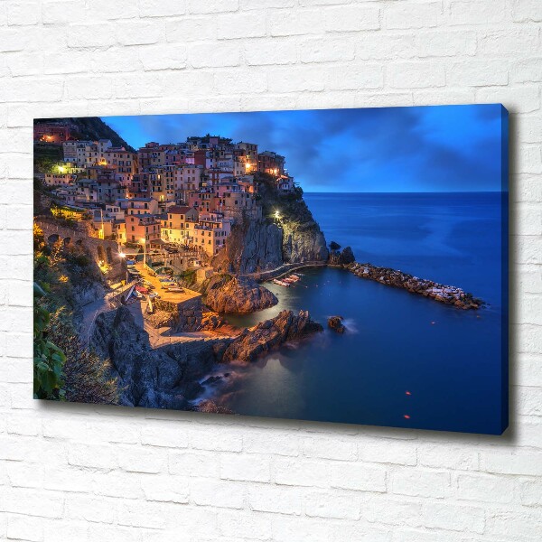 Foto obraz na plátne Manarola Taliansko