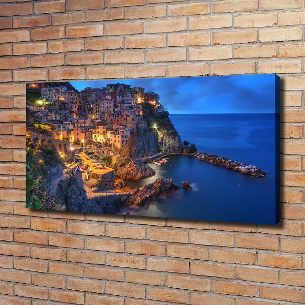 Foto obraz na plátne Manarola Taliansko