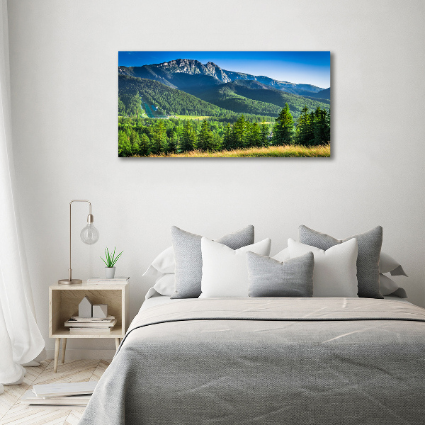 Moderný obraz canvas na ráme Skokanský mostík Tatry