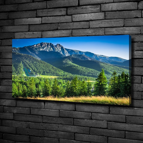 Moderný obraz canvas na ráme Skokanský mostík Tatry