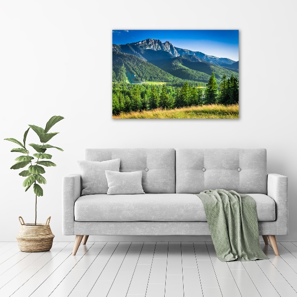 Moderný obraz canvas na ráme Skokanský mostík Tatry