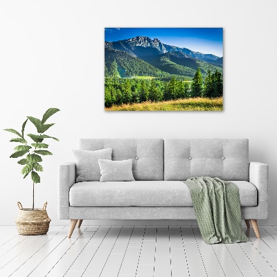 Moderný obraz canvas na ráme Skokanský mostík Tatry