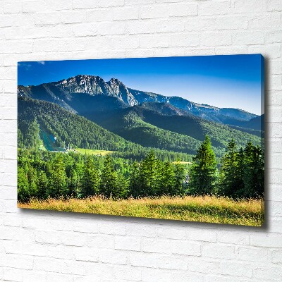 Moderný obraz canvas na ráme Skokanský mostík Tatry