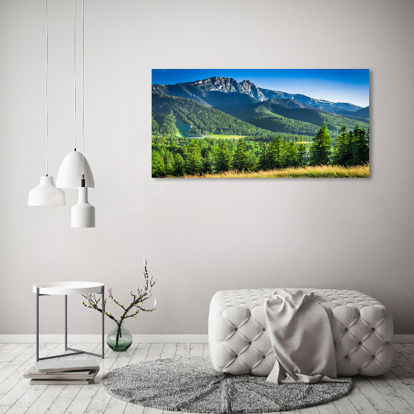 Moderný obraz canvas na ráme Skokanský mostík Tatry