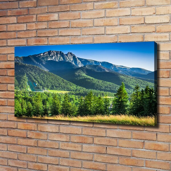 Moderný obraz canvas na ráme Skokanský mostík Tatry