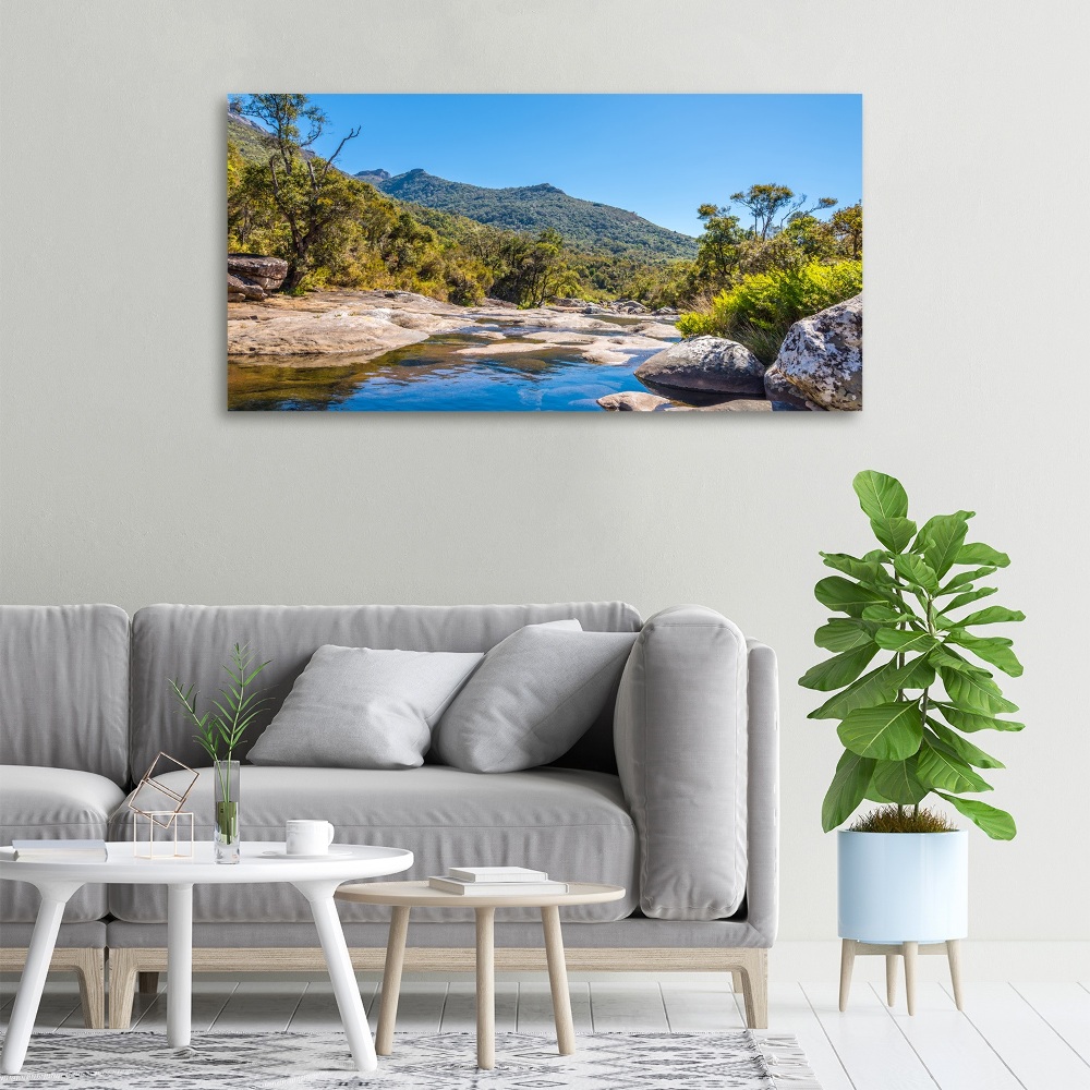 Foto obraz na plátne do obývačky Rieka v lese