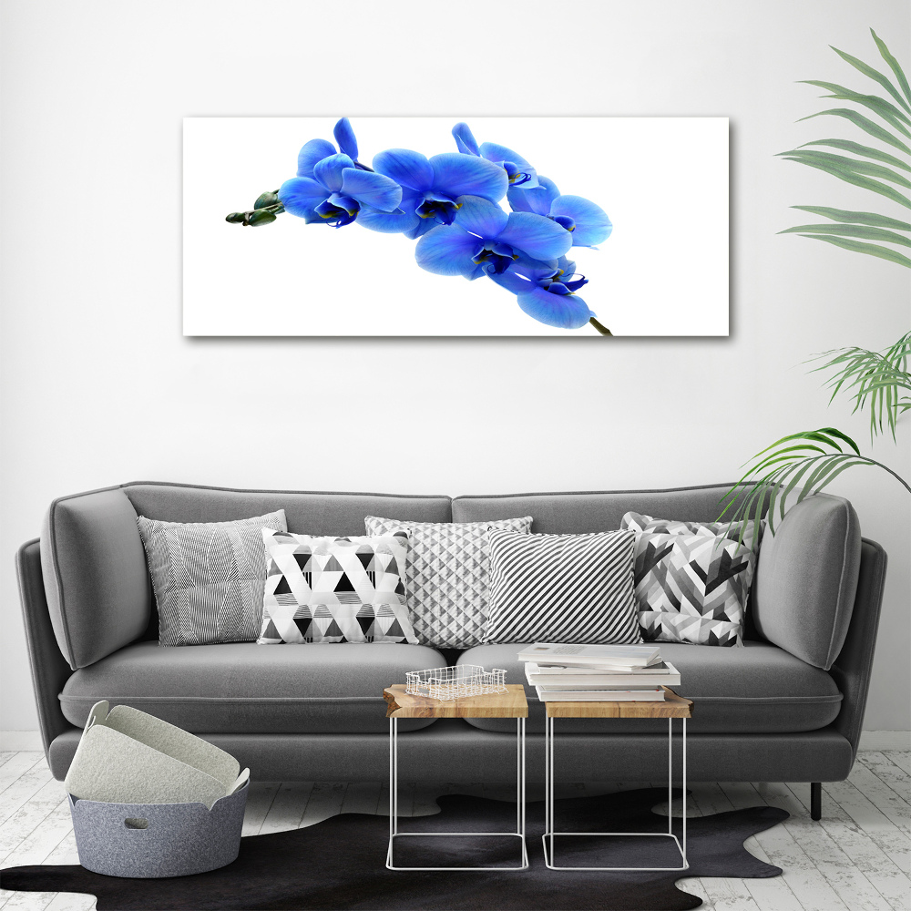 Foto obraz na plátne Modrná orchidea