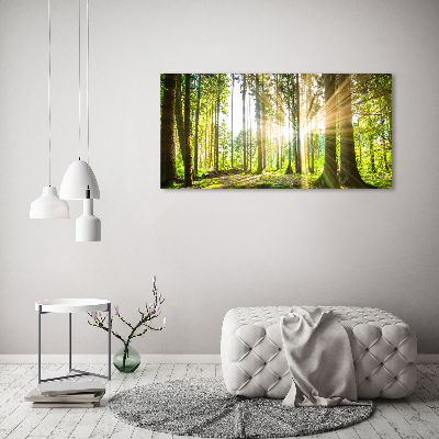 Foto obraz na plátne do obývačky Les slnko