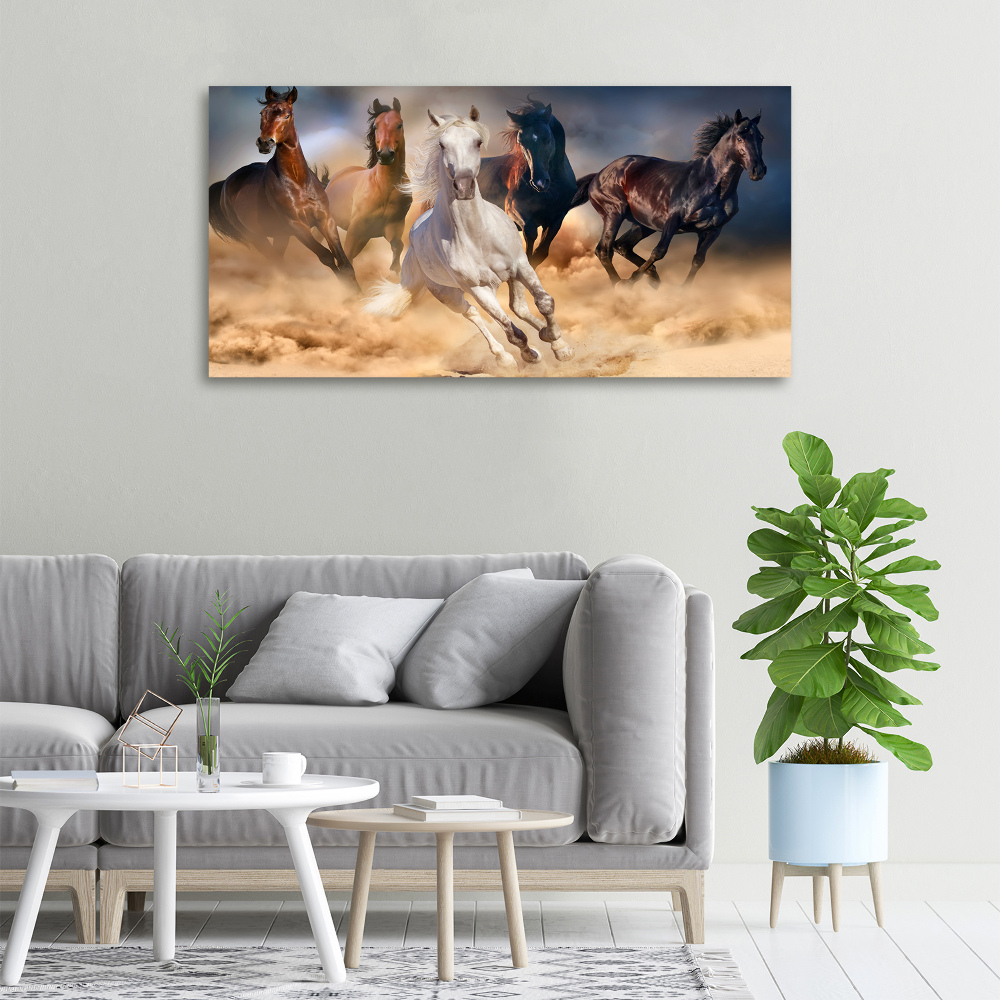 Foto obraz na plátne Kone v cvale