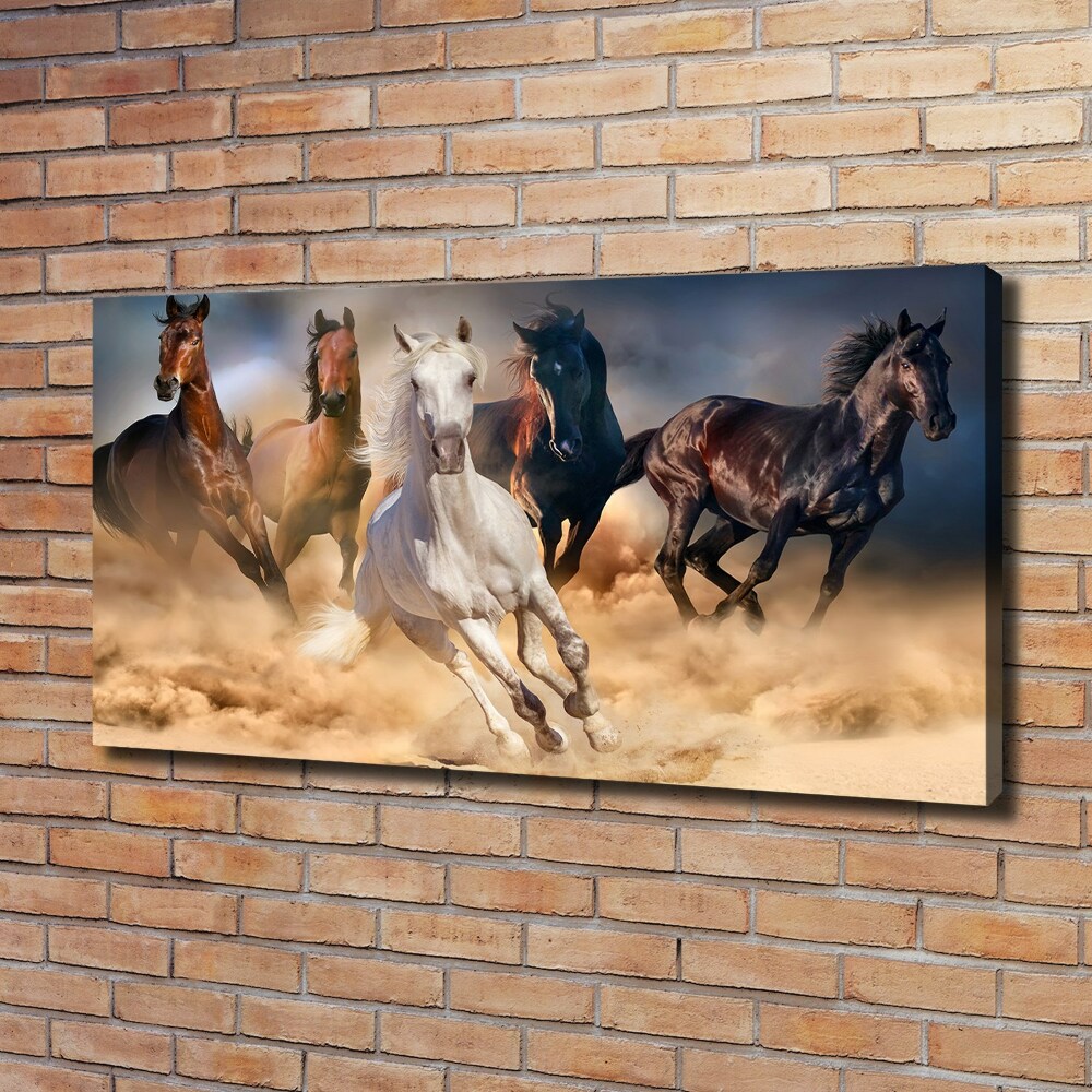 Foto obraz na plátne Kone v cvale