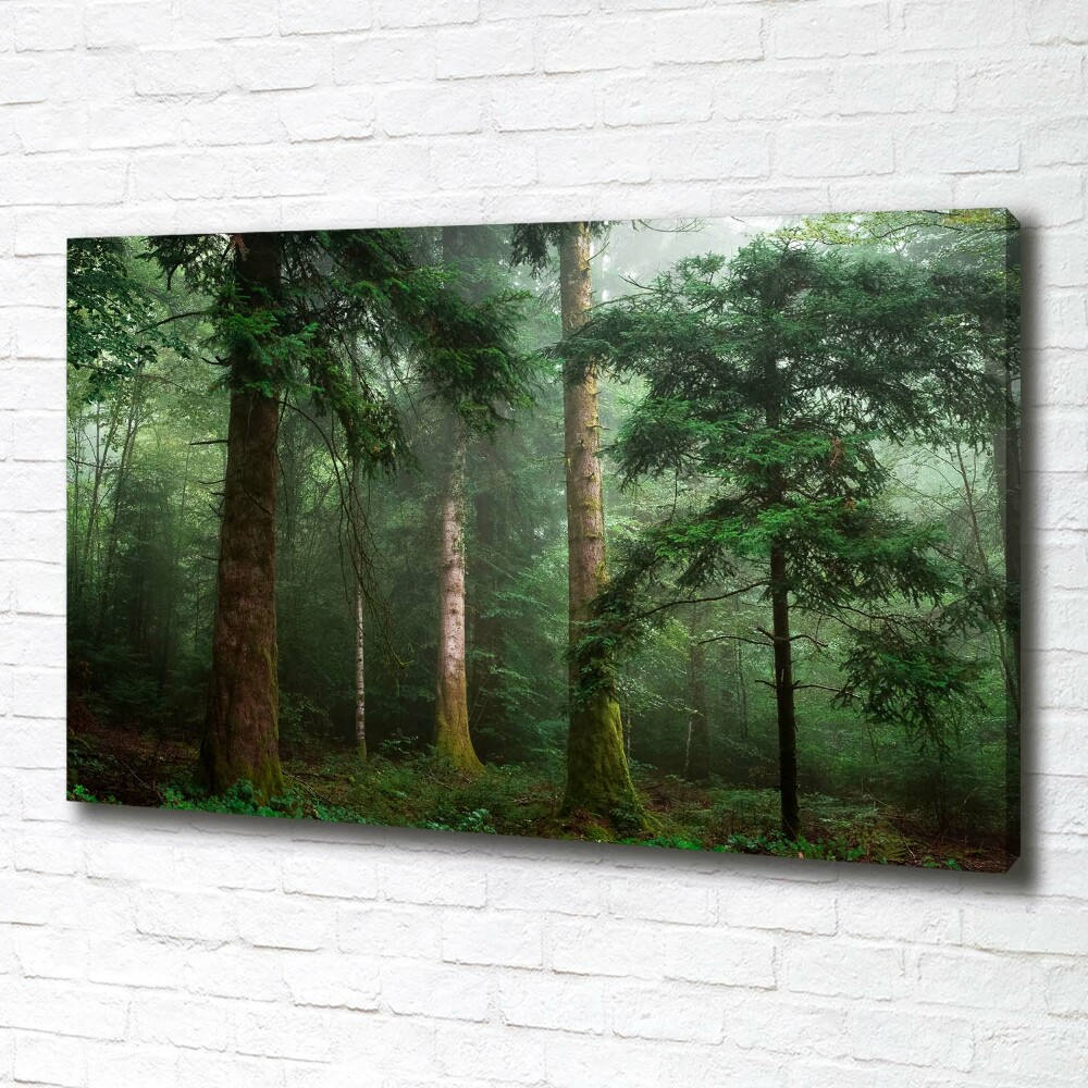 Foto obraz na plátne Hmla v lese