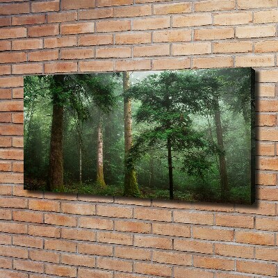 Foto obraz na plátne Hmla v lese