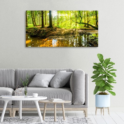 Foto obraz na plátne Rybník v lese