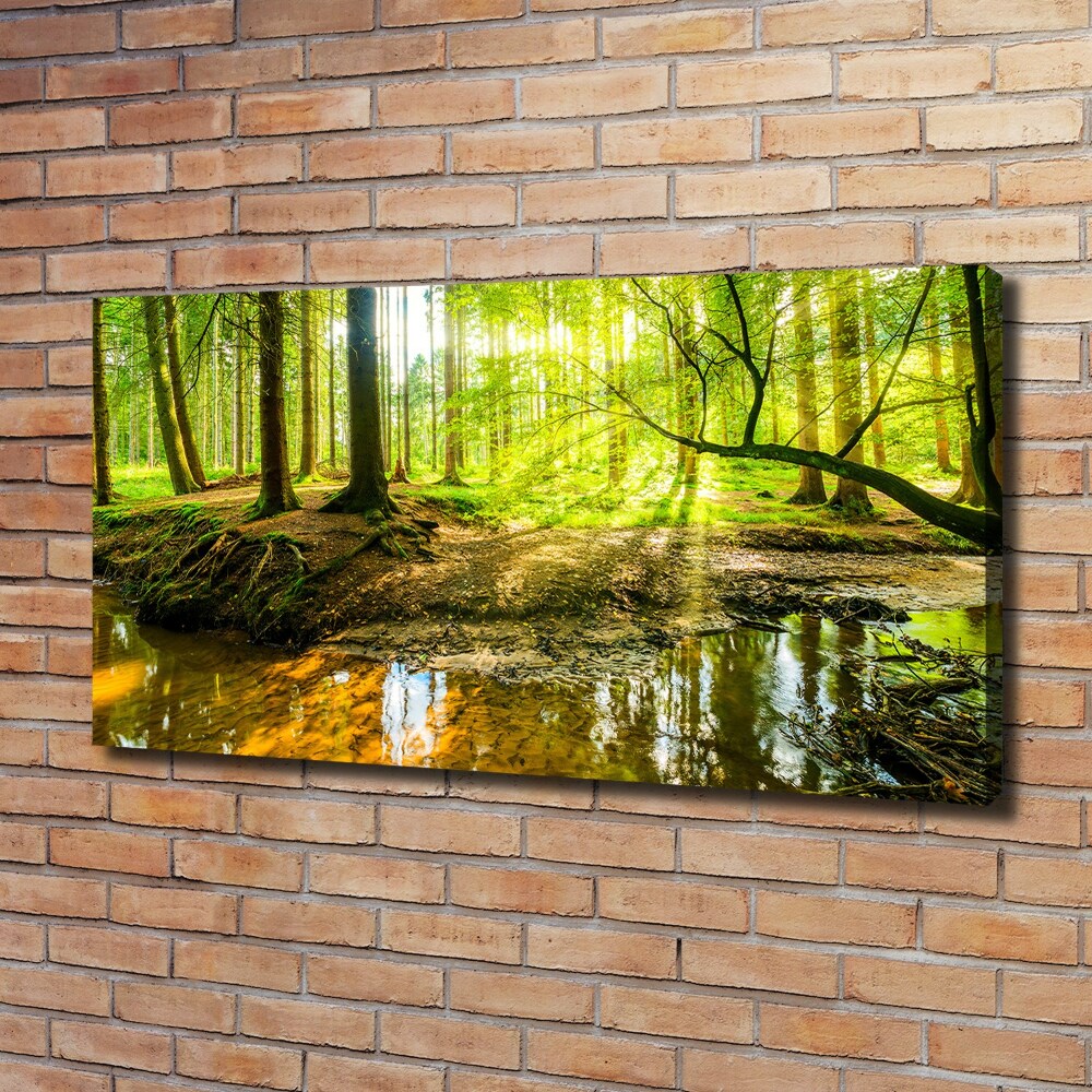 Foto obraz na plátne Rybník v lese