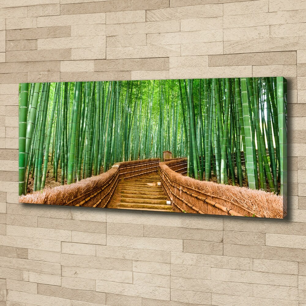 Moderný fotoobraz canvas na ráme Bambusový les