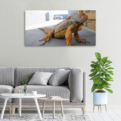 Foto obraz na plátne Iguana