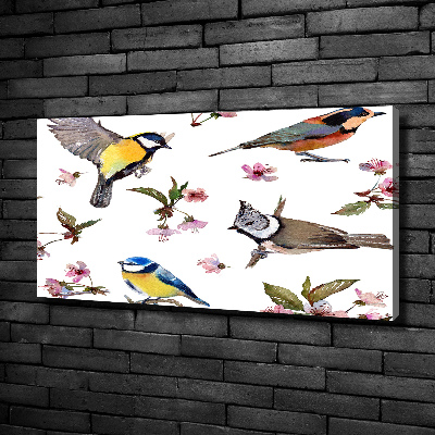Foto obraz na plátne Vtáky kvety višne