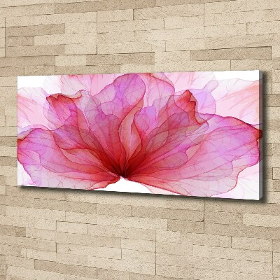 Foto obraz na plátne do obývačky Ružová kvetina