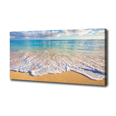 Foto obraz na plátne Havajská pláž