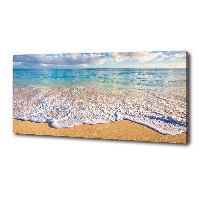 Foto obraz na plátne Havajská pláž