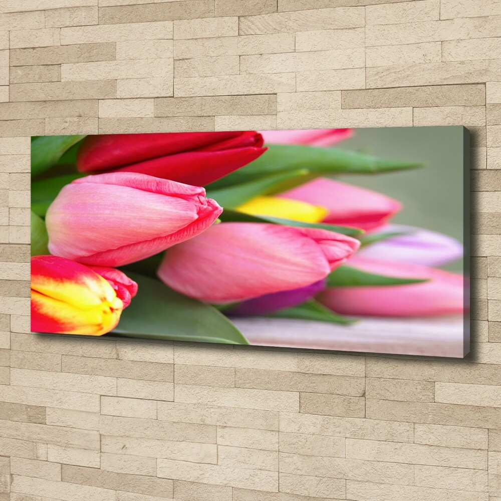 Foto obraz na plátne Farebné tulipány