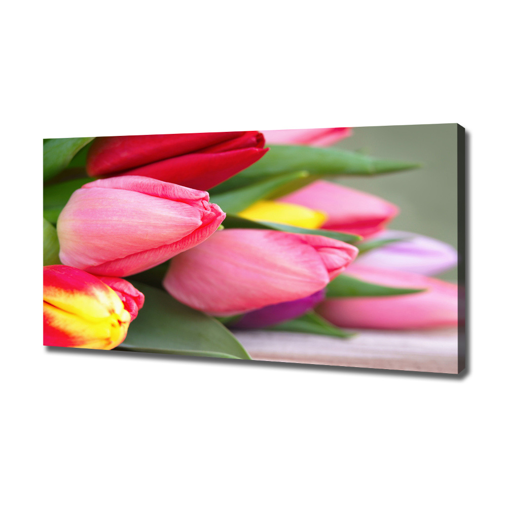 Foto obraz na plátne Farebné tulipány