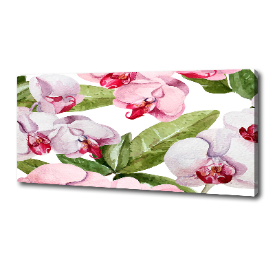 Foto obraz na plátne Ružové orchidee