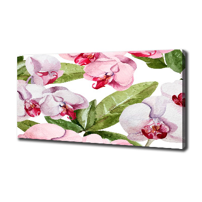 Foto obraz na plátne Ružové orchidee