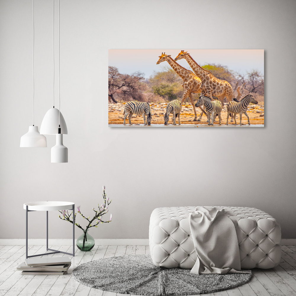 Foto obraz na plátne Žieravé a zebry