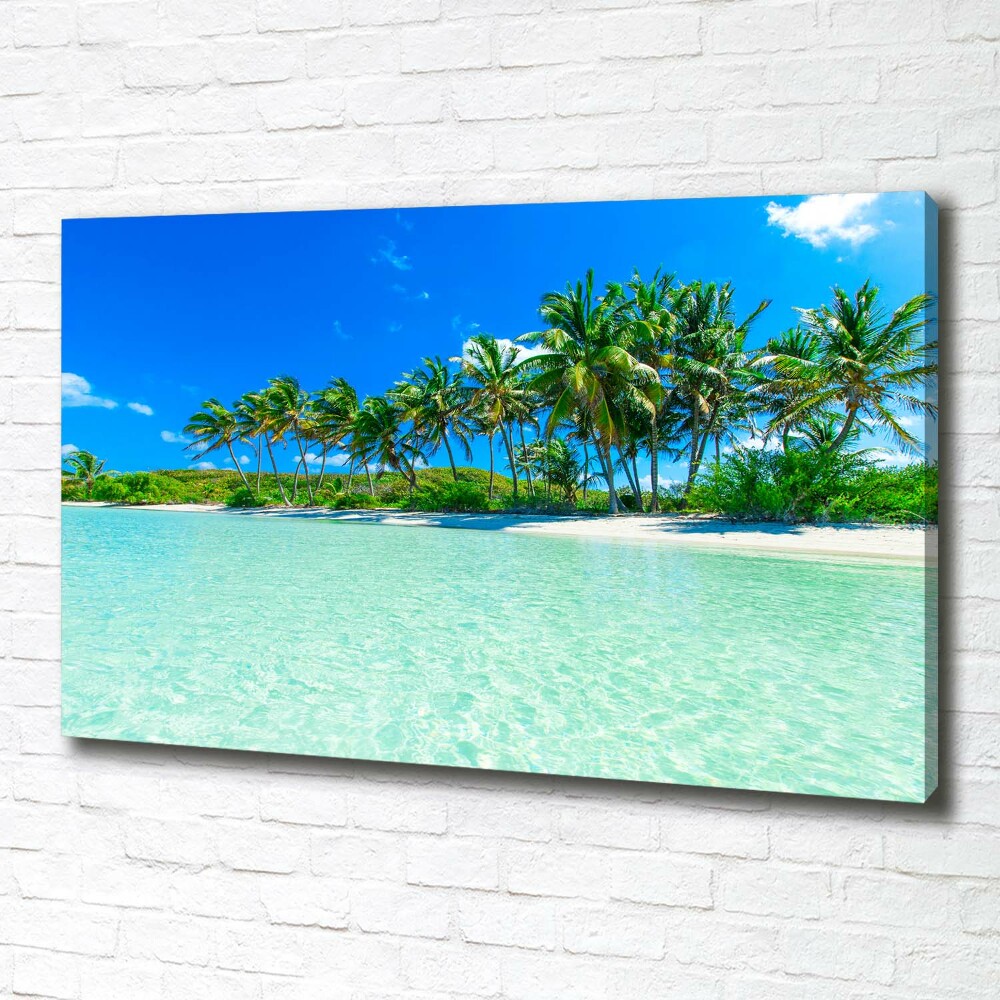 Foto obraz na plátne Tropická pláž