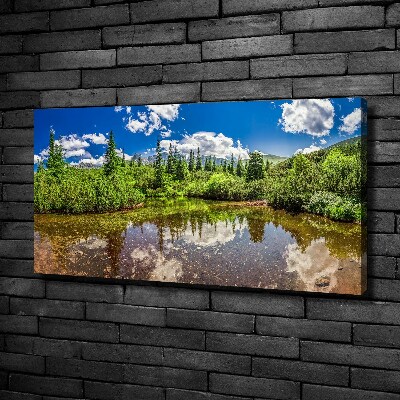 Foto obraz na plátne do obývačky Jazero v lese
