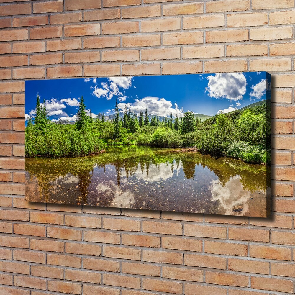 Foto obraz na plátne do obývačky Jazero v lese