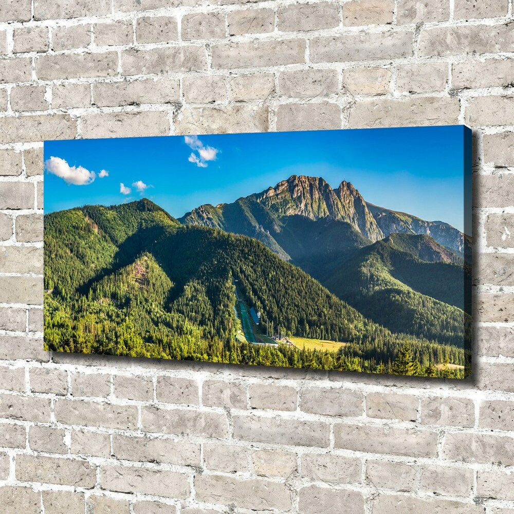 Foto obraz na plátne Panorama Tater
