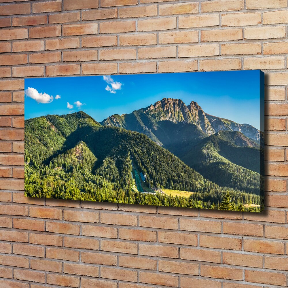 Foto obraz na plátne Panorama Tater
