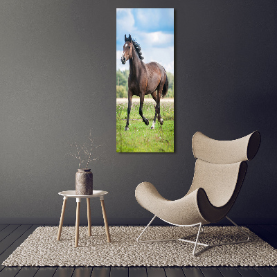 Vertikálny foto obraz na plátne do obývačky Kôň na poli