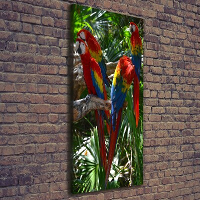 Vertikálny foto obraz na plátne do obývačky Papagáje Ara