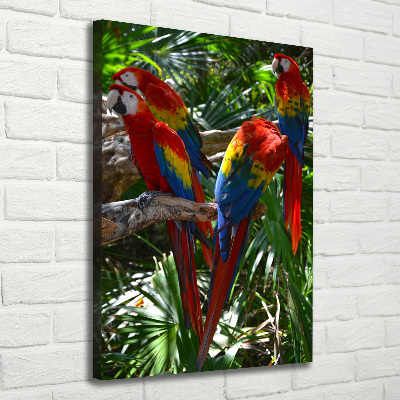 Vertikálny foto obraz na plátne do obývačky Papagáje Ara