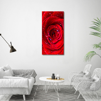Vertikálny foto obraz na plátne Červená ruža