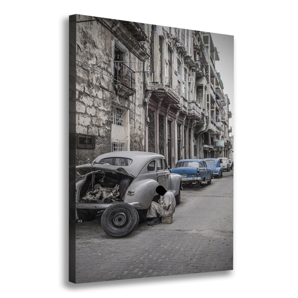 Vertikálny moderný fotoobraz canvas na ráme Havana