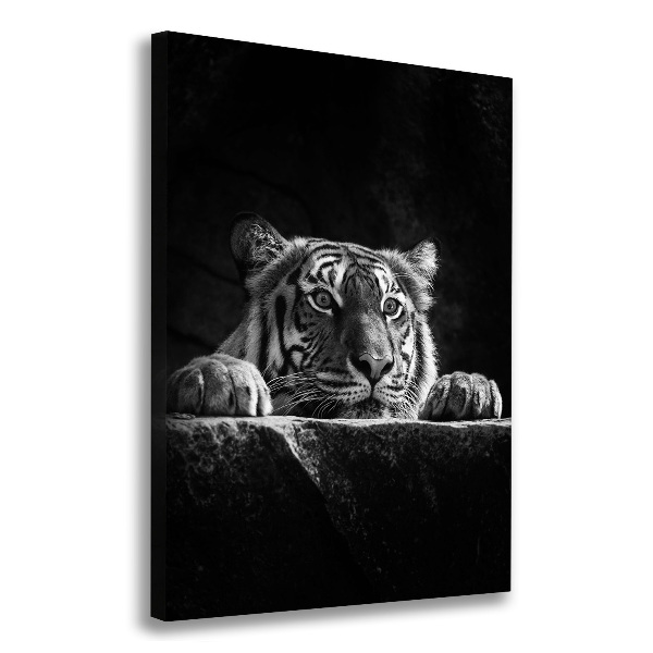 Vertikálny moderný fotoobraz canvas na ráme Tiger