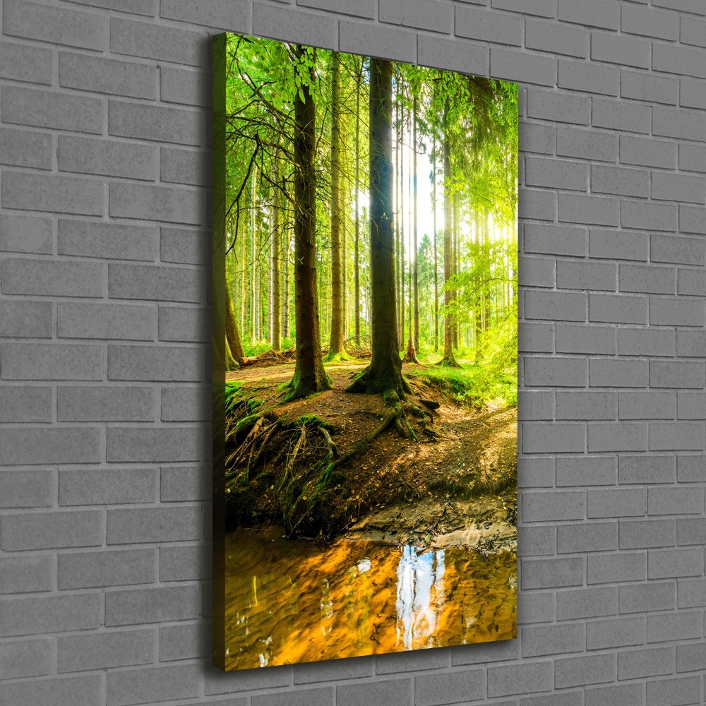 Vertikálny foto obraz na plátne Slnko v lese