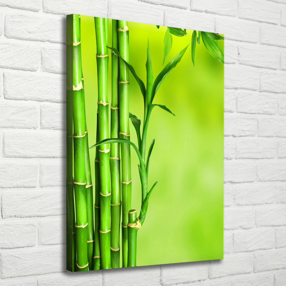 Vertikálny moderný fotoobraz canvas na ráme Bambus
