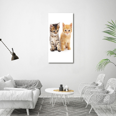 Vertikálny foto obraz na plátne Sivá a červená mačka