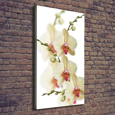 Vertikálny foto obraz na plátne do obývačky Orchidea