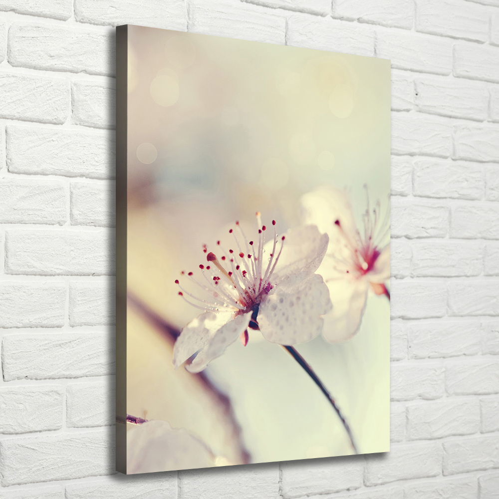 Vertikálny foto obraz canvas Kvety višne