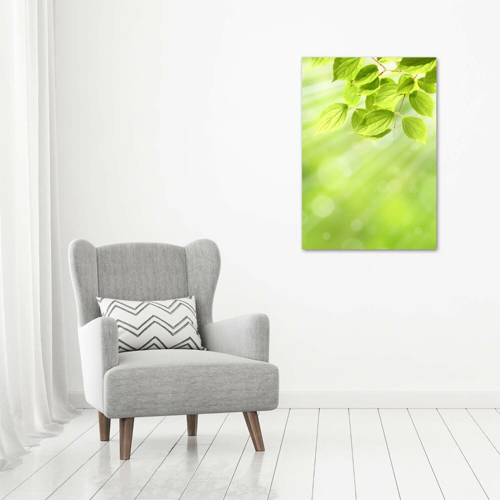 Vertikálny foto obraz na plátne Zelené listy