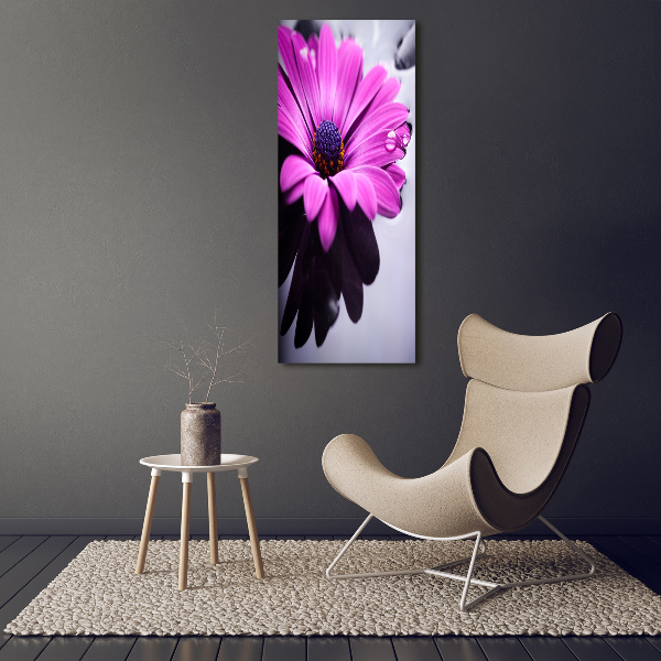 Vertikálny foto-obraz canvas do obývačky Ružová gerbera